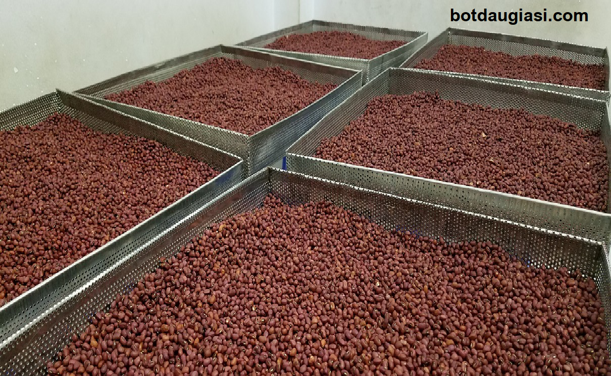 san xuat bot dau do.png (1.55 MB)